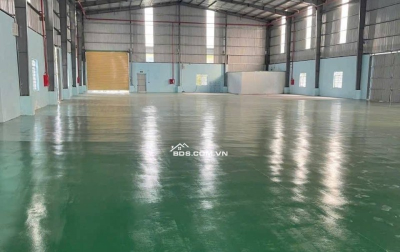 Kho xưởng dưới Đình Vũ 2500m2, PCCC tự động, làm được FDI, khuôn viên rộng 3ha